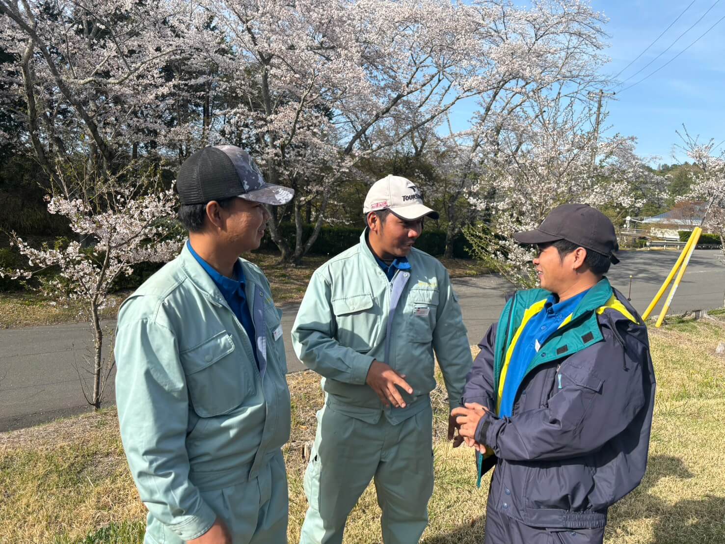 桜の咲くゴルフ場で、作業服を着た3人の男性が屋外で会話をしている様子。
